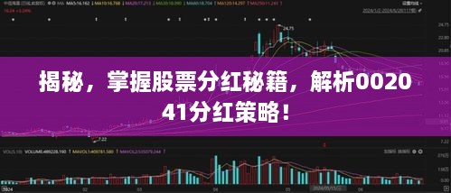 揭秘，掌握股票分紅秘籍，解析002041分紅策略！