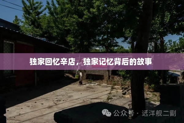獨(dú)家回憶辛店，獨(dú)家記憶背后的故事 
