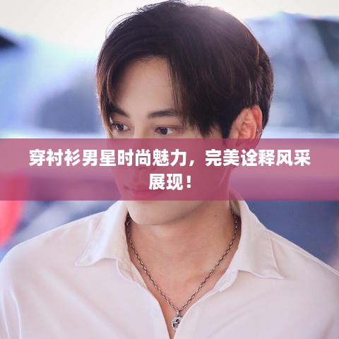 穿襯衫男星時(shí)尚魅力，完美詮釋風(fēng)采展現(xiàn)！