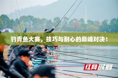 釣青魚(yú)大賽，技巧與耐心的巔峰對(duì)決！