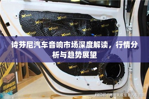 詩芬尼汽車音響市場深度解讀，行情分析與趨勢(shì)展望