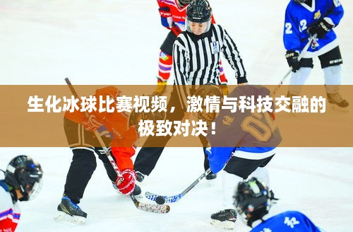 生化冰球比賽視頻，激情與科技交融的極致對(duì)決！