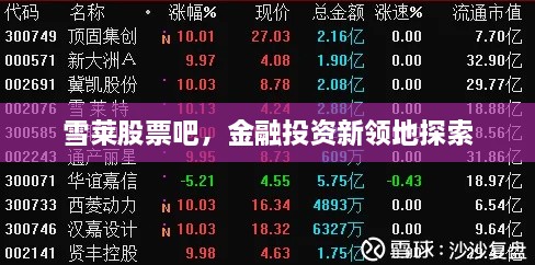 雪萊股票吧，金融投資新領(lǐng)地探索