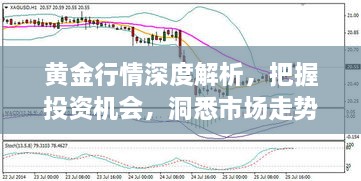 黃金行情深度解析，把握投資機(jī)會(huì)，洞悉市場(chǎng)走勢(shì)