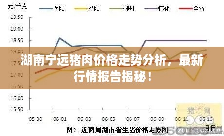 湖南寧遠豬肉價格走勢分析，最新行情報告揭秘！