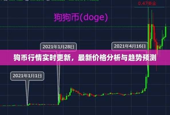 狗幣行情實(shí)時更新，最新價格分析與趨勢預(yù)測