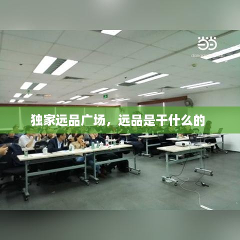 獨(dú)家遠(yuǎn)品廣場，遠(yuǎn)品是干什么的 