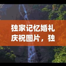 獨(dú)家記憶婚禮慶祝圖片，獨(dú)家記憶圖片唯美 