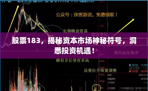 股票183，揭秘資本市場神秘符號，洞悉投資機遇！