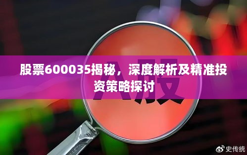 股票600035揭秘，深度解析及精準投資策略探討
