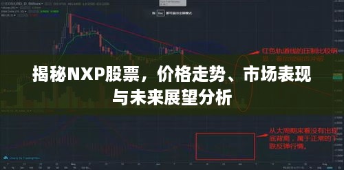 揭秘NXP股票，價格走勢、市場表現與未來展望分析