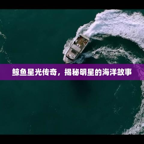 鯨魚(yú)星光傳奇，揭秘明星的海洋故事