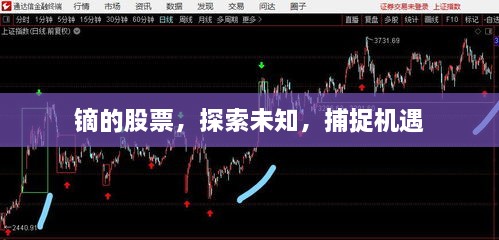 鏑的股票，探索未知，捕捉機遇