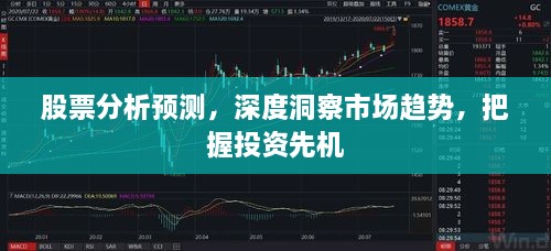 股票分析預(yù)測，深度洞察市場趨勢，把握投資先機(jī)