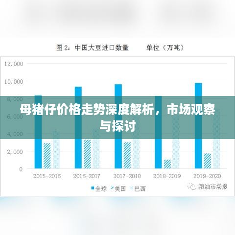 母豬仔價格走勢深度解析，市場觀察與探討