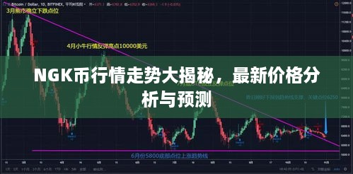 NGK幣行情走勢(shì)大揭秘，最新價(jià)格分析與預(yù)測(cè)
