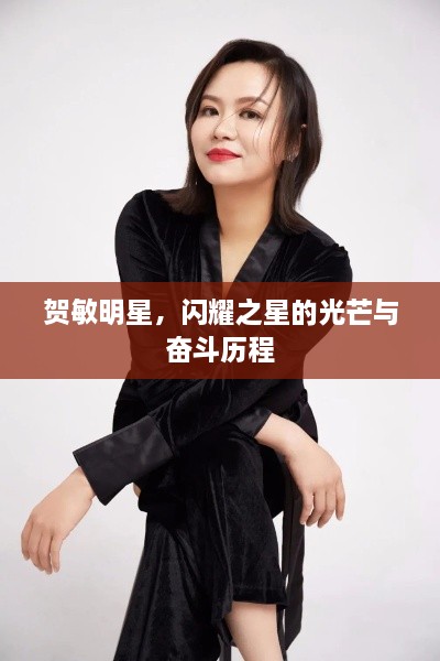 賀敏明星，閃耀之星的光芒與奮斗歷程