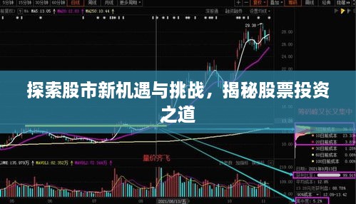 探索股市新機遇與挑戰(zhàn)，揭秘股票投資之道