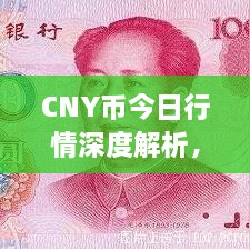CNY幣今日行情深度解析，最新價(jià)格動(dòng)態(tài)一網(wǎng)打盡！
