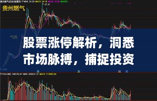 股票漲停解析，洞悉市場脈搏，捕捉投資黃金機會