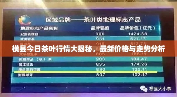 橫縣今日茶葉行情大揭秘，最新價(jià)格與走勢(shì)分析