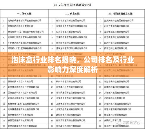 泡沫盒行業(yè)排名揭曉，公司排名及行業(yè)影響力深度解析