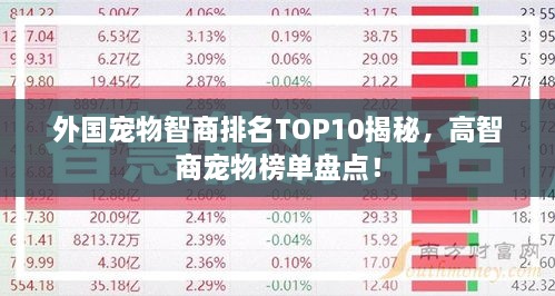 外國寵物智商排名TOP10揭秘，高智商寵物榜單盤點(diǎn)！