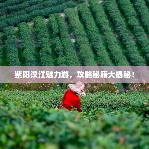 紫陽漢江魅力游，攻略秘籍大揭秘！