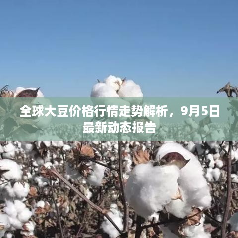 全球大豆價(jià)格行情走勢(shì)解析，9月5日最新動(dòng)態(tài)報(bào)告