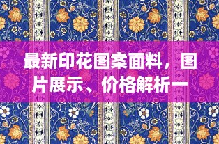最新印花圖案面料，圖片展示、價(jià)格解析一網(wǎng)打盡