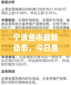 寧波魚市最新動(dòng)態(tài)，今日魚價(jià)、市場(chǎng)走勢(shì)及影響因素全解析