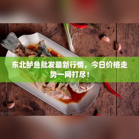 東北鱸魚批發(fā)最新行情，今日價(jià)格走勢(shì)一網(wǎng)打盡！