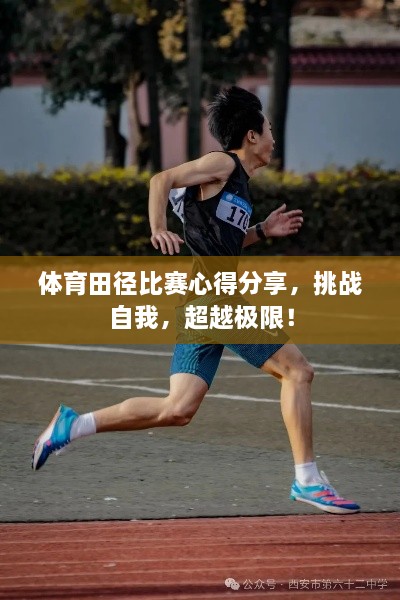 體育田徑比賽心得分享，挑戰(zhàn)自我，超越極限！