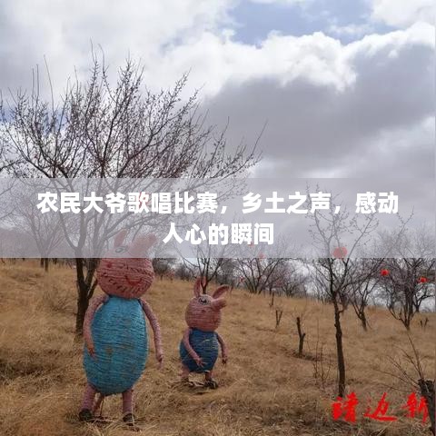農(nóng)民大爺歌唱比賽，鄉(xiāng)土之聲，感動人心的瞬間