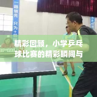 精彩回顧，小學(xué)乒乓球比賽的精彩瞬間與收獲總結(jié)
