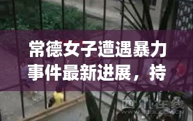 常德女子遭遇暴力事件最新進(jìn)展，持續(xù)關(guān)注被打女子最新消息