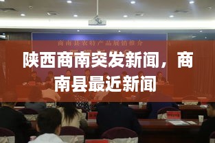 陜西商南突發(fā)新聞，商南縣最近新聞 