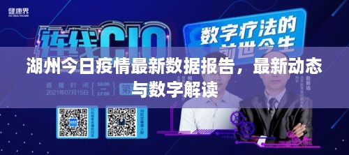 湖州今日疫情最新數(shù)據(jù)報(bào)告，最新動(dòng)態(tài)與數(shù)字解讀