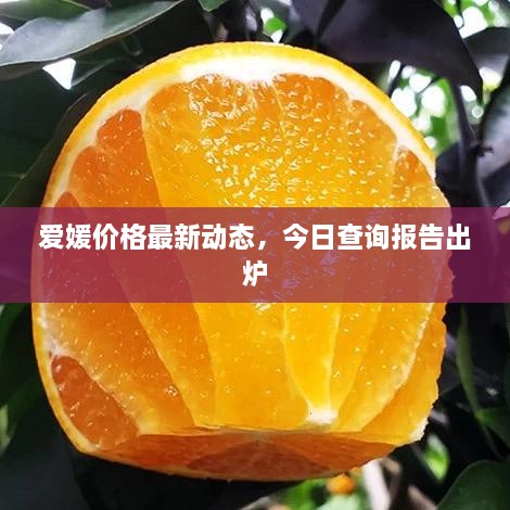 愛媛價格最新動態(tài)，今日查詢報告出爐