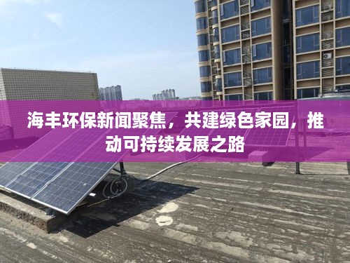 海豐環(huán)保新聞聚焦，共建綠色家園，推動(dòng)可持續(xù)發(fā)展之路