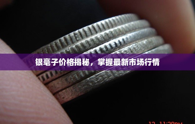 銀毫子價格揭秘，掌握最新市場行情