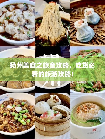 揚州美食之旅全攻略，吃貨必看的旅游攻略！