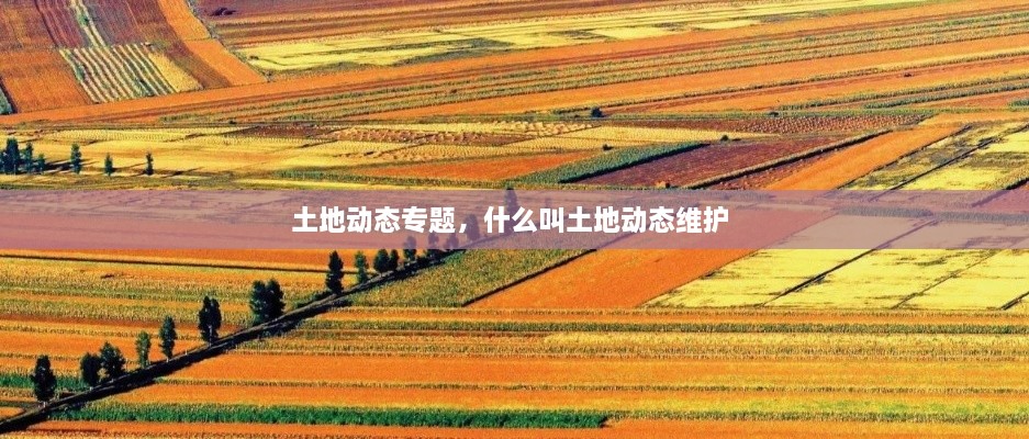土地動態(tài)專題，什么叫土地動態(tài)維護(hù) 