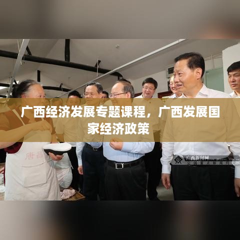 廣西經濟發(fā)展專題課程，廣西發(fā)展國家經濟政策 