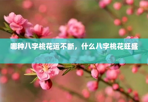 哪種八字桃花運(yùn)不斷，什么八字桃花旺盛 