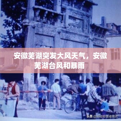 安徽蕪湖突發(fā)大風天氣，安徽蕪湖臺風和暴雨 