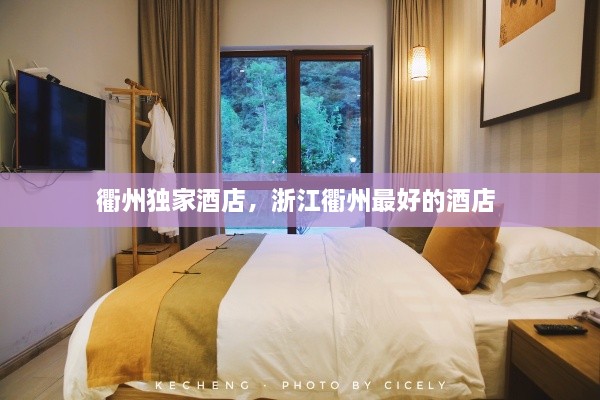 衢州獨(dú)家酒店，浙江衢州最好的酒店 