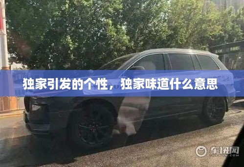 獨(dú)家引發(fā)的個(gè)性，獨(dú)家味道什么意思 