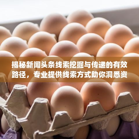 揭秘新聞?lì)^條線索挖掘與傳遞的有效路徑，專業(yè)提供線索方式助你洞悉資訊動(dòng)態(tài)