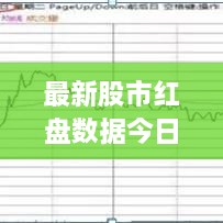 2025年1月17日 第13頁(yè)